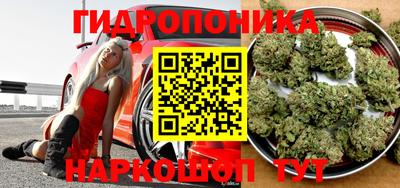 каннабис Будённовск