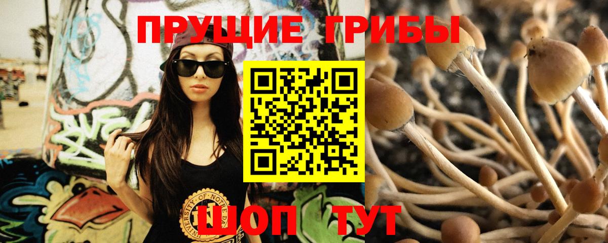 Галлюциногенные грибы GOLDEN TEACHER Северобайкальск